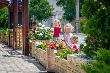 Фото Гостиница Джеваль г. Евпатория 4